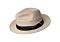 Bailey 1922 Hats 81744BH Eli Braid Fedora Tawny