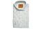 Steven Land Pastel Green Striped Dress Shirt DS2609B