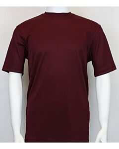 Bassiri Log-In Uomo Men's Short Sleeve Ribbed Knit Mock Neck Tee Shirt 218 Plum