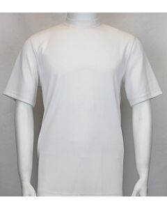 Bassiri Log-In Uomo Men's Short Sleeve Ribbed Knit Mock Neck Tee Shirt 218 White
